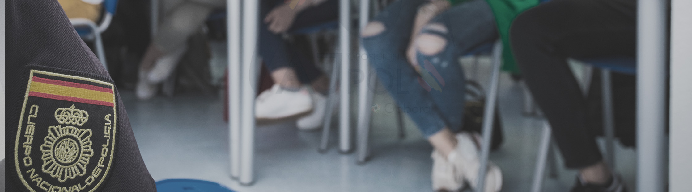 AJPOL - Academia de opciones a Policía Nacional